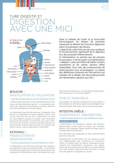 tube digestif et digestion avec une mici